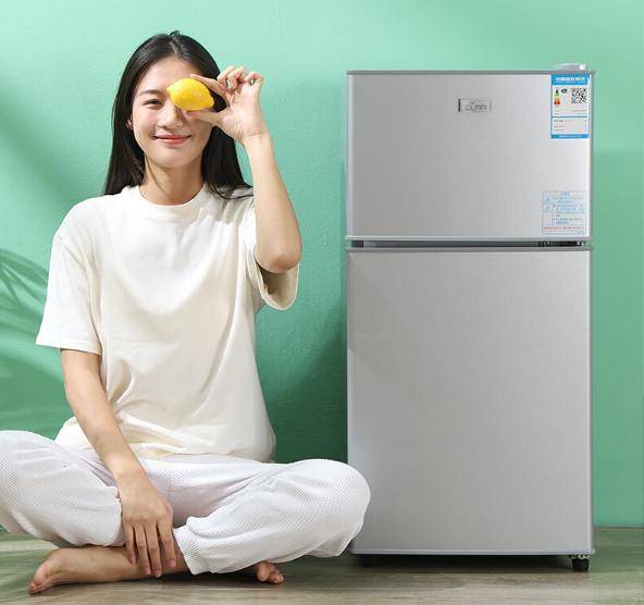 惠又省电？租房族必备实用省电小冰箱推荐凯时尊龙最新网站小冰箱哪个牌子好又实(图6)