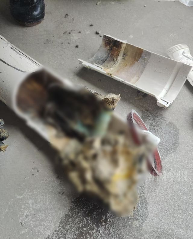 业主崩溃：全屋都是无法接受人生就是搏婚房被粪水浸泡！