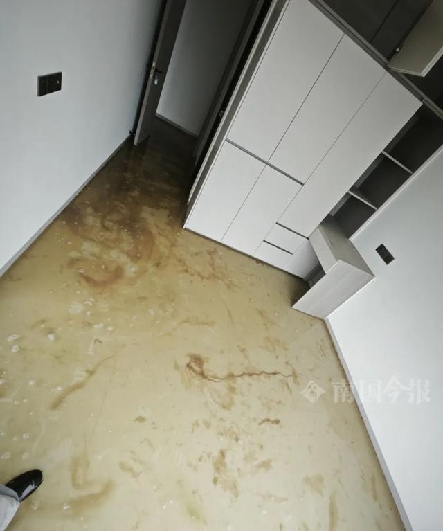 业主崩溃：全屋都是无法接受人生就是搏婚房被粪水浸泡！(图3)