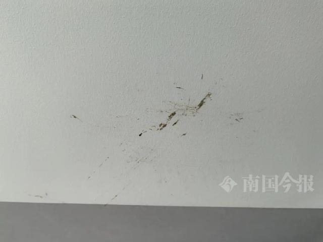 业主崩溃：全屋都是无法接受人生就是搏婚房被粪水浸泡！(图5)