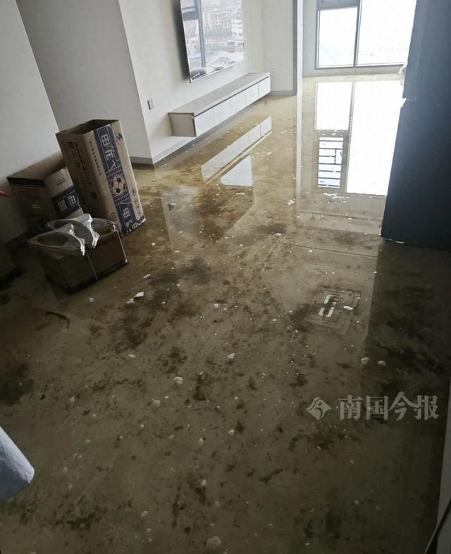 业主崩溃：全屋都是无法接受人生就是搏婚房被粪水浸泡！(图11)